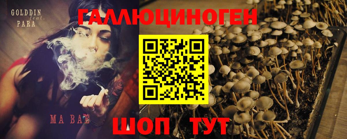 Галлюциногенные грибы прущие грибы  Псилоцибиновые грибы мухоморы  Вход с VPN  как найти закладки  Лесосибирск 