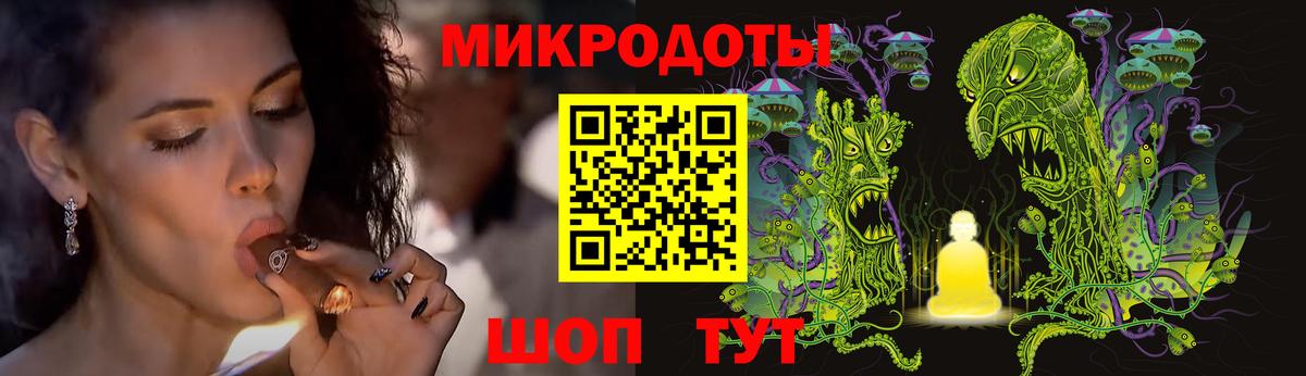 Галлюциногенные грибы Psilocybe Лесосибирск